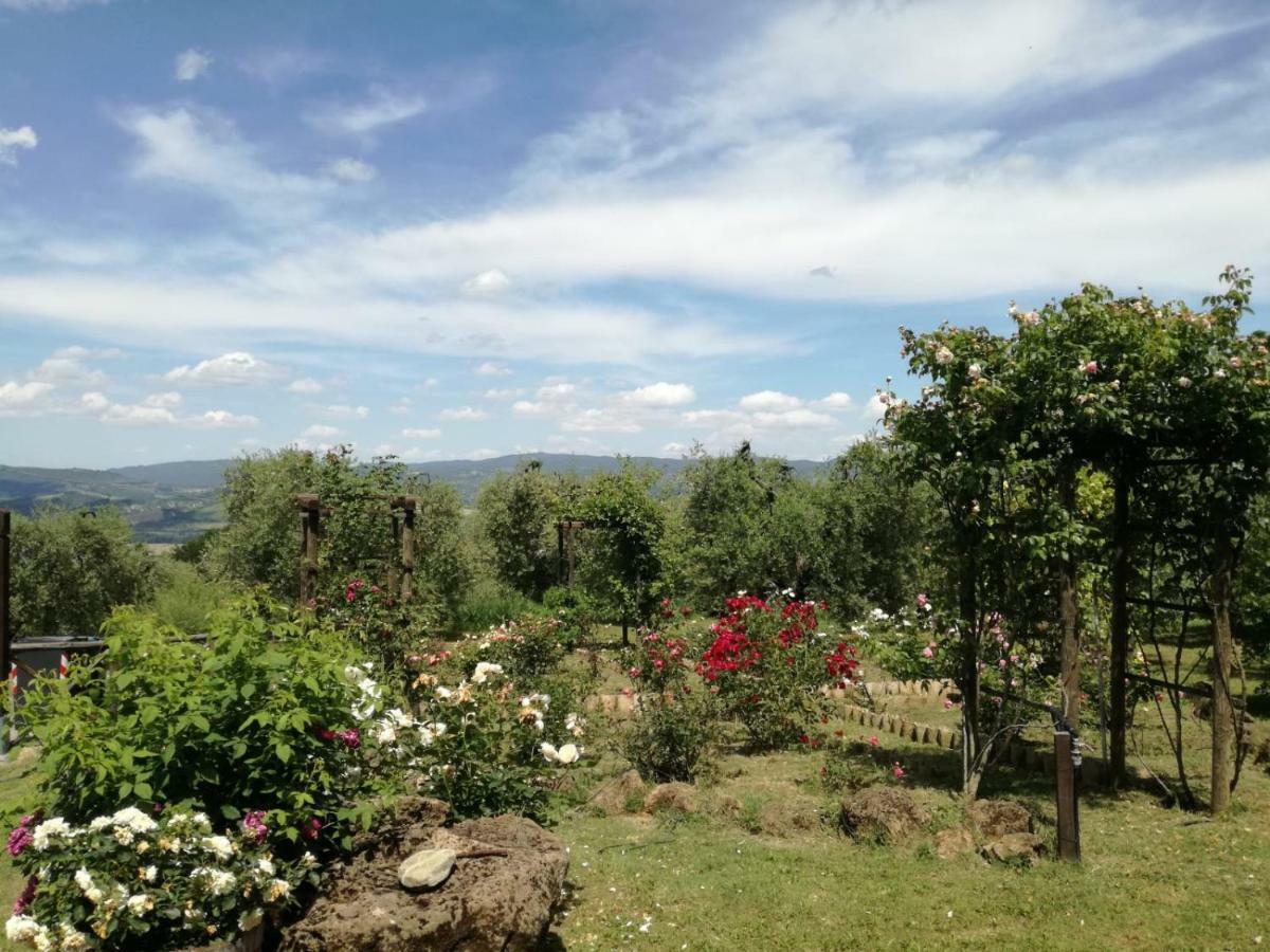 Отель Orvieto Rocca Fiorita Экстерьер фото